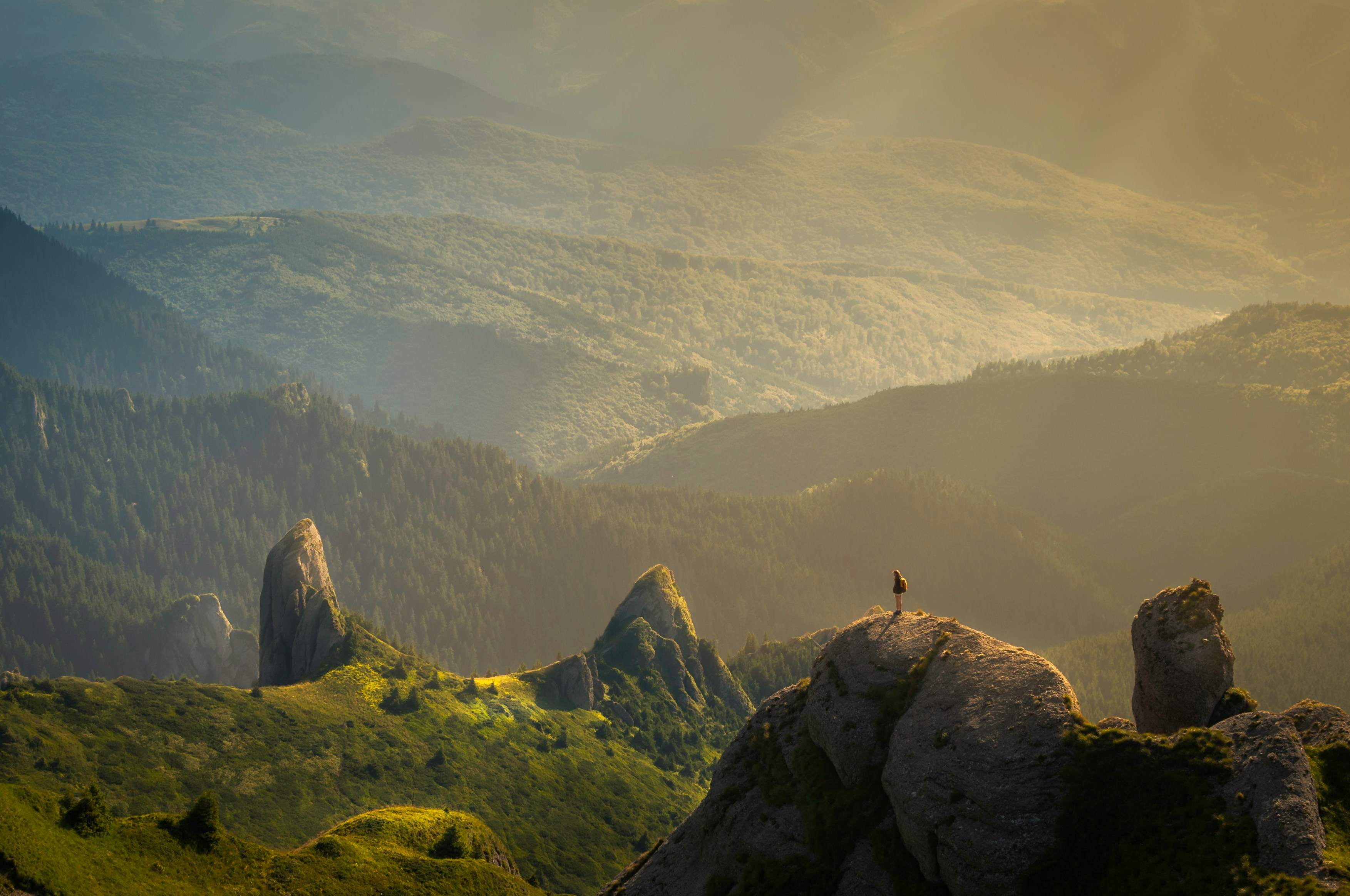 Real golden mountain valley nature wallpaper